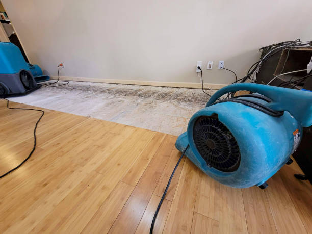 Professional Water Extraction technician working in Mesopotamia, OH